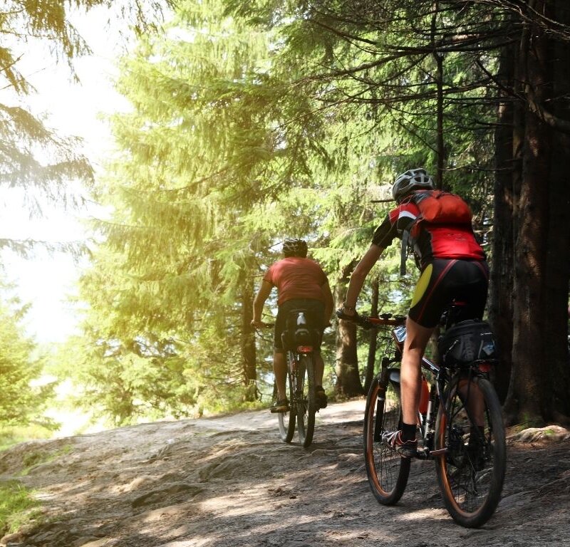 Bici